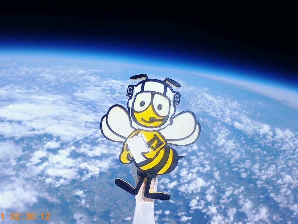 Astrobiene beim Ausflug in die Stratosphäre